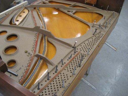 Removing Plate Screws